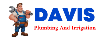 Trusted plumber in FORGAN